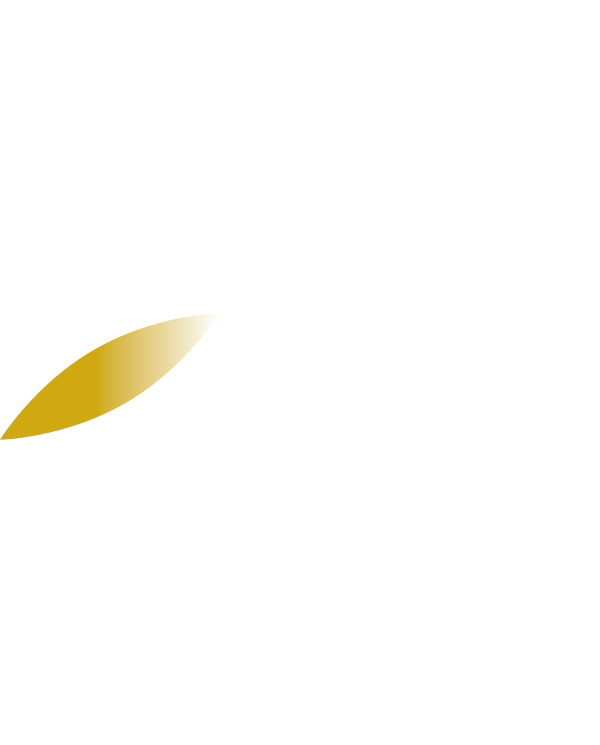 NSplus